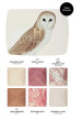 Hourglass - Лимитированная палетка для лица Сова Ambient Lighting Edit - Unlocked Owl  - Фото 1