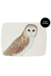 Лімітована палетка для обличчя Сова Ambient Lighting Edit - Unlocked Owl  - Зображення 2