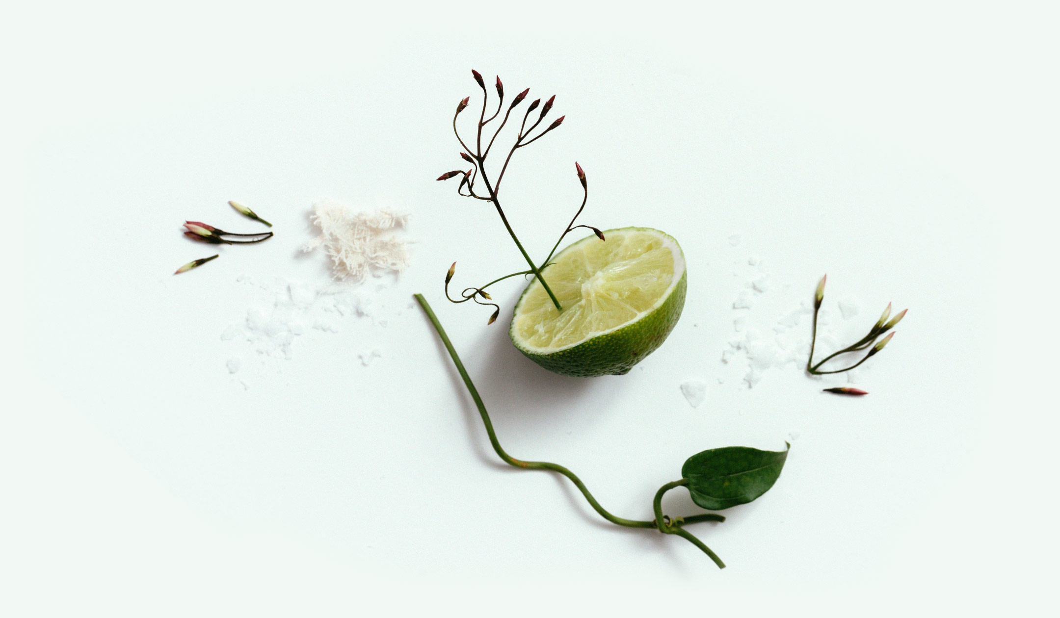 Corpus - Натуральный дезодорант "California" Sea Salt, Bergamot, White Musk, Jasmine - Фото 4